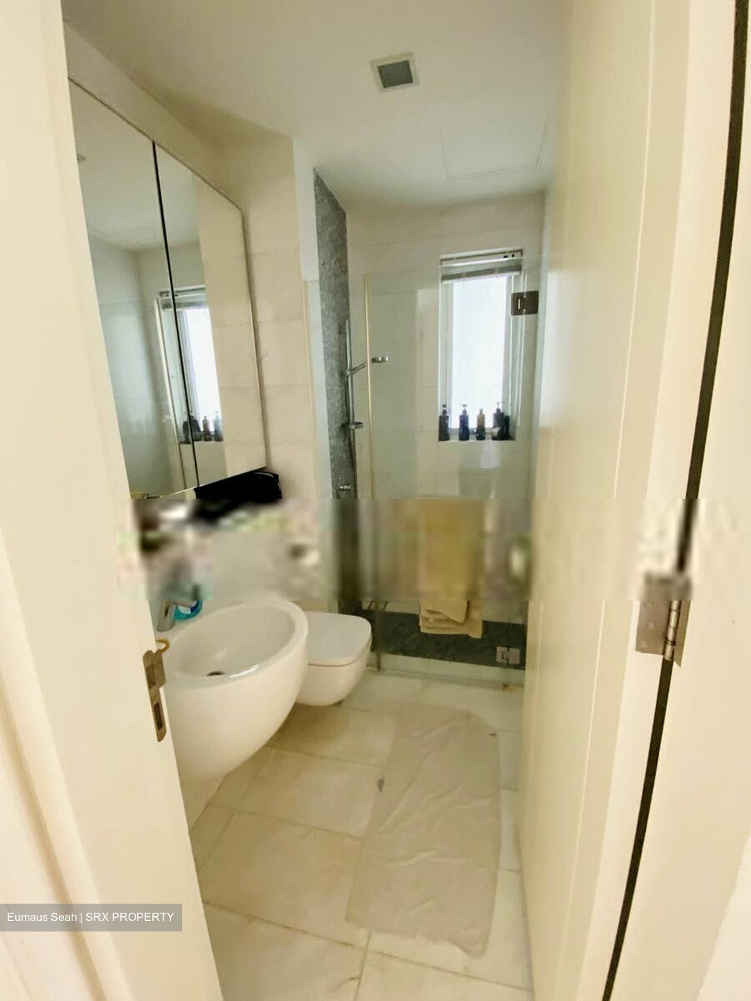 The Orange Grove (D10), Condominium #399256201